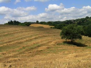 Azienda Agraria Montelujano - Gubbio - 9
