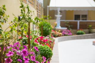 Sunset Apartments Free shuttle from Athen's Airport - Spata - 2