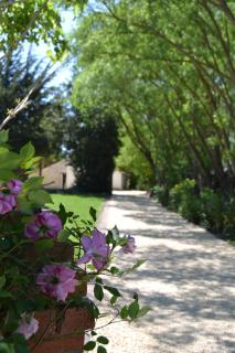 Camping La Loire Fleurie - Le Perrier - 6