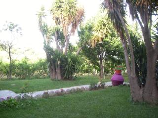 Hotel Elytis - Potistika - 4