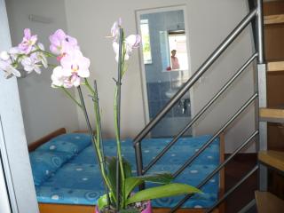 Resort Zatišje - Savudrija - 9