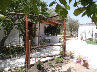 Villa L'Oliveto - Oliena - 7