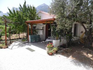Villa L'Oliveto - Oliena - 5