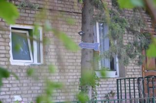 Nano Guest House - Tbilisi - 2
