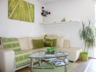 Appartement Wildkogel - Neukirchen am Grossvenediger - 0