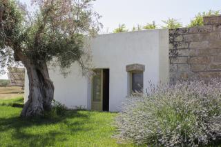 Casina Spiggiano Agriturismo - Presicce - 8