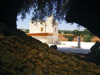 Il Trullo e la Pietra - Ostuni - 8