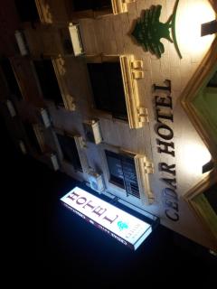 Cedar Hotel - 7