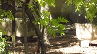 La Bastide - Cavaillon - 3