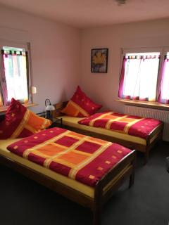 Pension Auenwald - Kehl am Rhein - 3