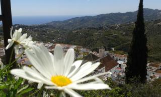 Casa Ana, Fantásticas vistas a Frigiliana, el mar y la montaña - Frigiliana - 0