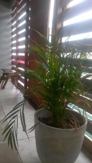Pousada Boa Vida - Maceió - 1
