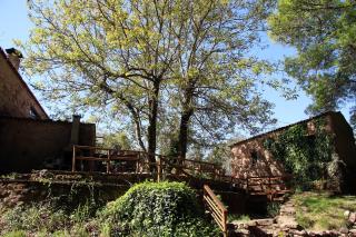Sete Quintas - Miranda do Corvo - 8