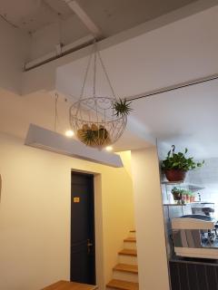 Hostel Single Single - Busan - 4