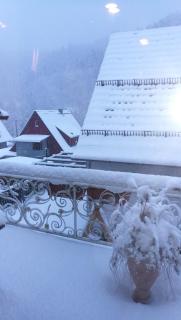 Ferienwohnung Adelsberg - Alpirsbach - 1