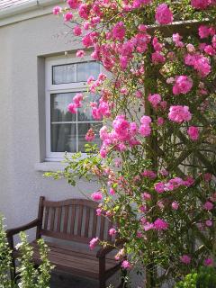 Glascoed Farmhouse - Carmarthen - 2