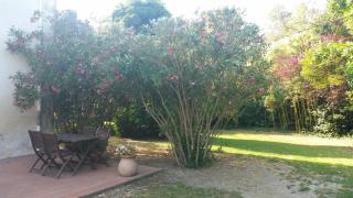Le Mas d'Icard - Saintes-Maries-de-la-Mer - 7