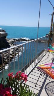 Pepita di Rio - Riomaggiore - 6