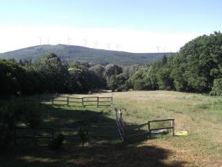 Gîte rural, relais équestre Le Tulipier - 1