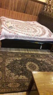 Blooming Dale Hotel - Srinagar - 5