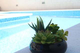Villa Sunshine - Trogir - 9