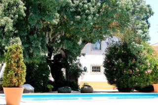 Quinta do Casal de Santo António - Alenquer - 5