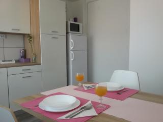 Studio apartman Toplica - Daruvar - 7