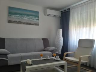 Studio apartman Toplica - Daruvar - 0