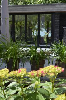 Vakantiewoning Wanderlust - 2