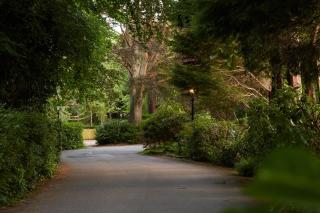 Lismoyne Hotel - Fleet - 8