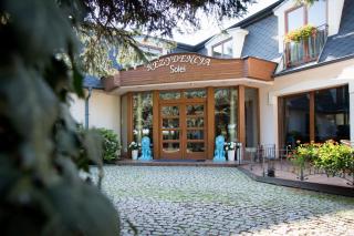 Hotel Rezydencja Solei - Poznań - 7