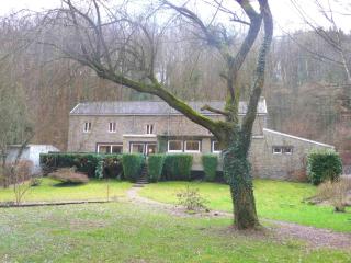 Home with garden beside the Ourthe and the RAVeL - Comblain-au-Pont - 9