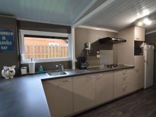 Modern chalet in a small park with a fishing pond - Geel - 6