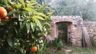 Casa Orsoni - Calvi - 3
