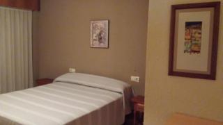 Palmeral de Torrevieja - 2