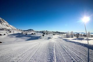Thomahofhuette - Tauplitzalm - 7