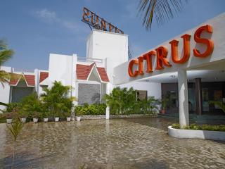 Vedic Village Sriperumbudur formerly known as Citrus Hotel - Sriperumbudur - 8