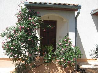 Attractive holiday home in Vabriga - Vabriga - 3