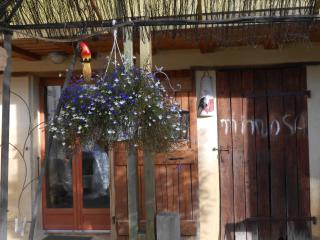 Arie Chez Mimosa - Dému - 7