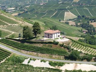 Villa Bricco Paglieri, entire Villa - Alba - 0