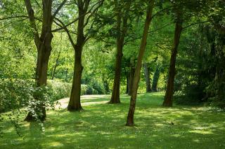 Residenze Bellaria Park "Riverside" - San Lazzaro di Savena - 7
