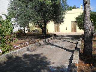 Villa Conte in Salento - Francavilla Fontana - 7