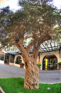 Lancaster Raouche Hotel - 3