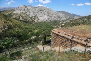 Les Bergeries "Le figuier" - Omessa - 6