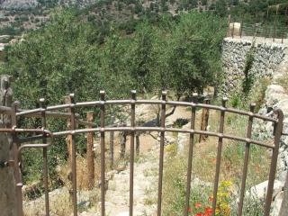 Les Bergeries "Le figuier" - Omessa - 3