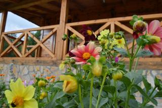 Apartment Mateja - Mokra Gora - 3