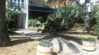 Center Apartment - Budva - 7