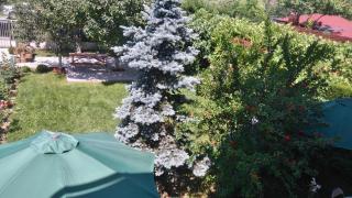 Zoi Residence - Costinesti - 6
