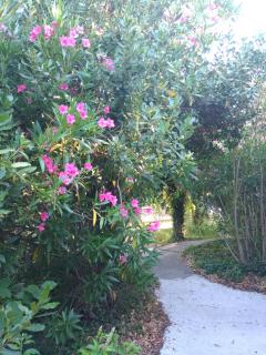 La Chaumiere - Agde - 8