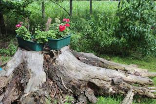 Haus Lutki - Burg - 5